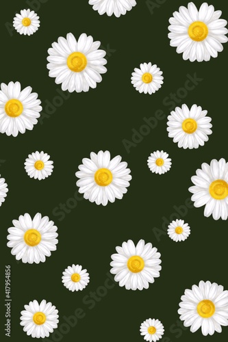 Beautiful floral pattern of white daisy flowers on dark green background. concept romantic, spring, web banners, covers, screensavers