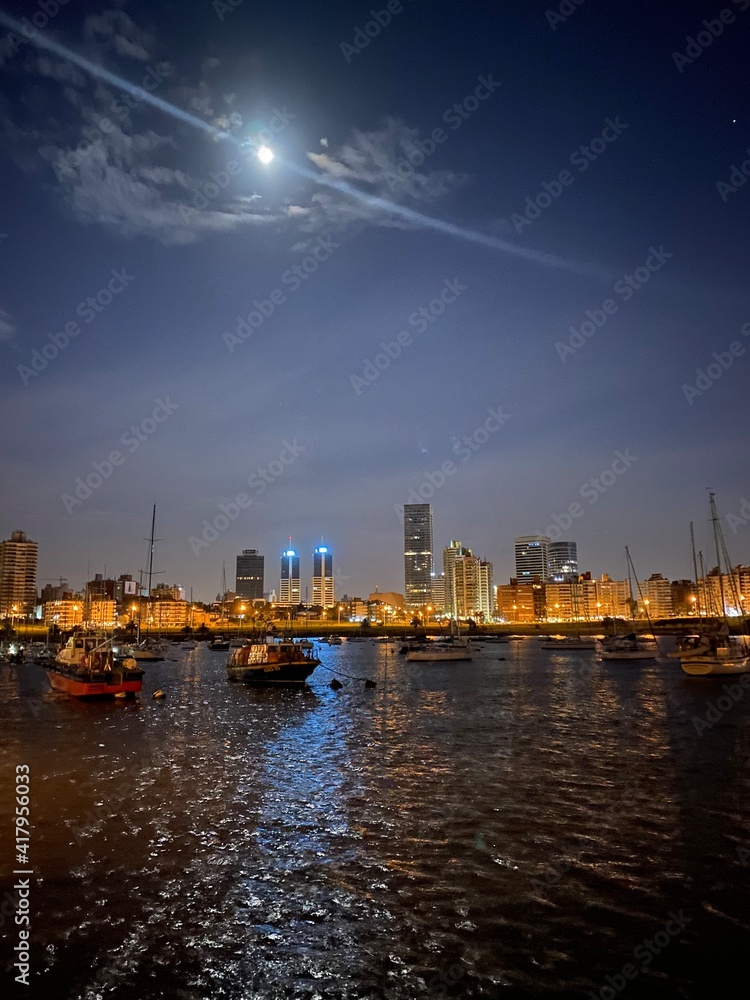 Fototapeta premium city skyline at night