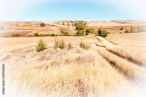 summer landscape next to Matanza de Soria, municipality of San Esteban de Gormaz, province of Soria, Castile and Leon, Spain photo