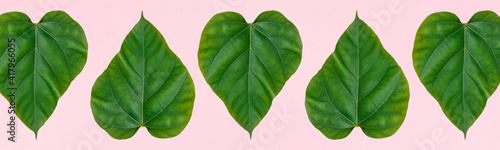 Heart shape leaf on light pink background perfect for banner social media post. Flat lay.