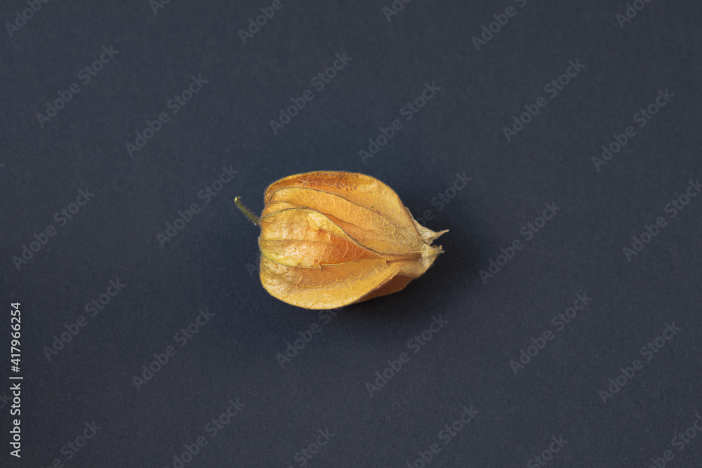 Juicy physalis fruit on the dark background Juicy physalis fruit on the dark background