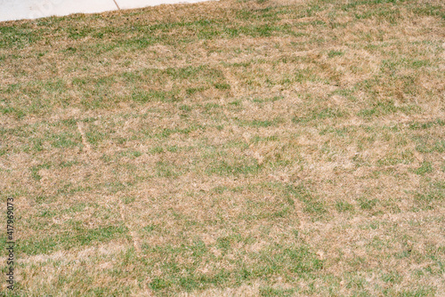 patchy brown grass with some green grass