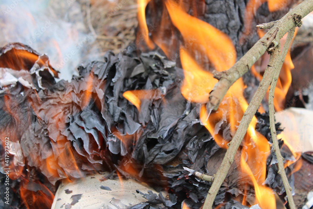 fuego destruyendo una hoja de papel sobre la hierva seca en un arbol 