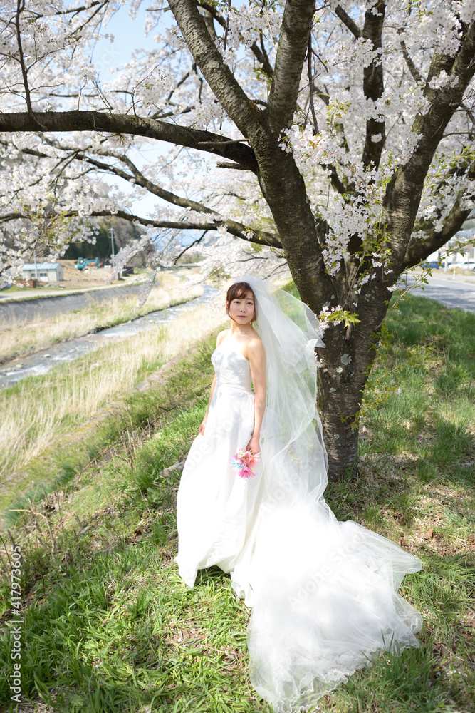 満開の桜 桜の背景 ウエディング 日本人の花嫁のポートレート 新婦 結婚式前撮り写真 満開の桜 桜の背景 ウエディング 日本人の花嫁のポートレート 新婦 結婚式前撮り写真
