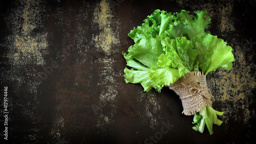 Fresh green salad leaves on a dark background. Eco food concept. Food minimalism. Diet food. Copy space.