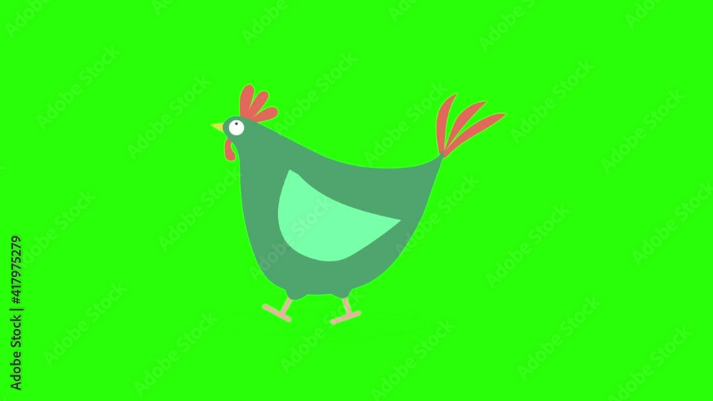 Funny Fat Chicken Walking Green Screen Animation Funny Fat Chicken Walking Green Screen Animation