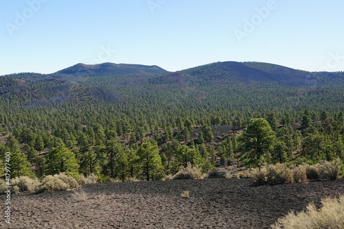 landscape in the mountains