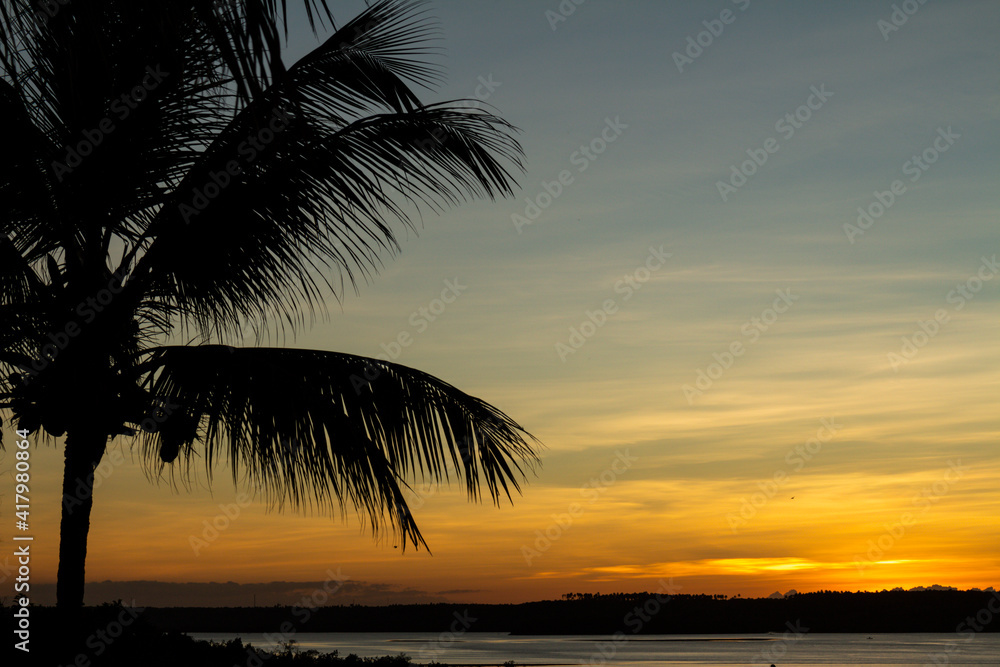 Beautiful sunset on the beach. Silhouette of a palm tree with a sky of golden colors.
