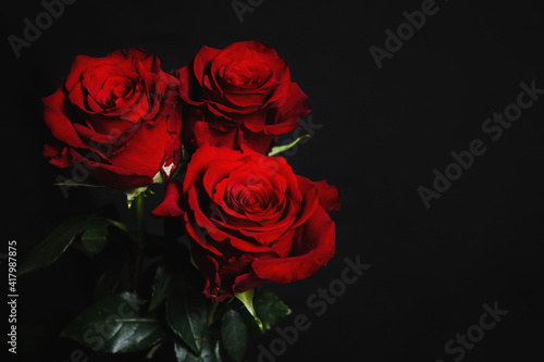Gift bouquet of three red roses.