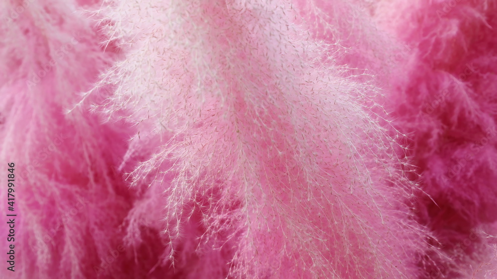 Pink dyed grass. Abstract background of colorful grass flowers. Choose subject and focus closer.