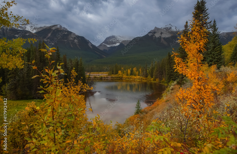 Scenic Canadian rocky mountains by the Bow river in Banff national park