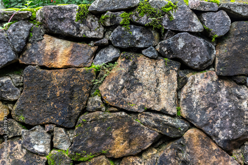 generic vegetation in old stone wall in Brazil