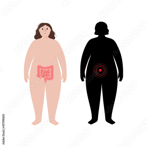 Organs in obese human body