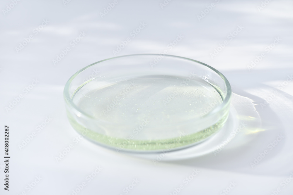 glass Petri dish witn agar substrat on a laboratory table. sterile lab