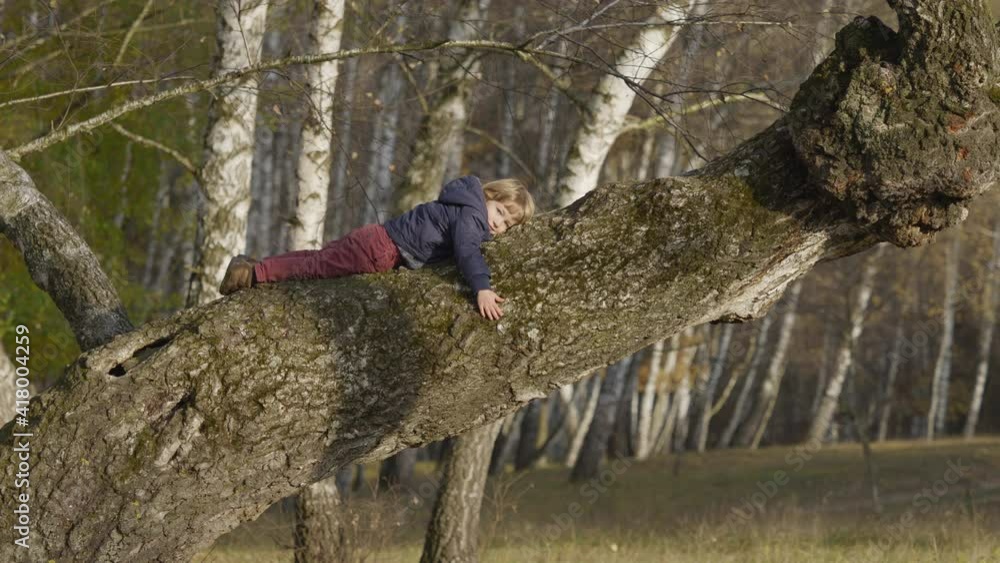 Lovely blond hair child resting on big tree trunk, adventures in nature Lovely blond hair child resting on big tree trunk, adventures in nature