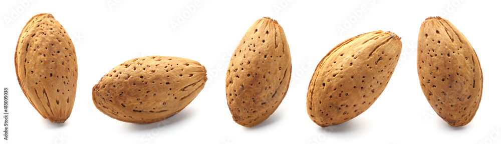 Tasty almonds in shell on white background Tasty almonds in shell on white background