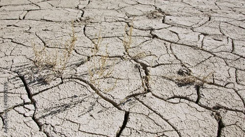 Dry soil with weeds growing out of the cracks of the mud in the desert. photo