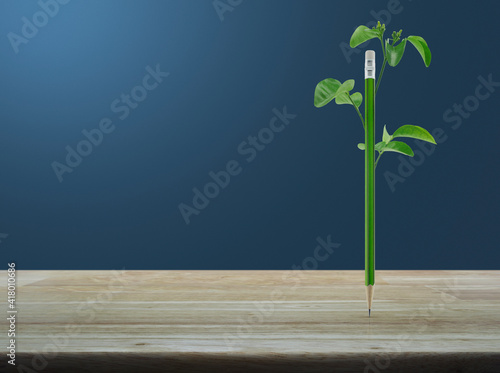 Eco green pencil with leaf on wooden table over light gradient blue background, Business ecology concept