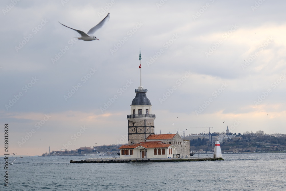 Naklejka premium City of istanbul during overcast weather with seagulls with huge mosques and minarets and galata tower background from maiden tower. İstanbul Turkey 01.03.2021