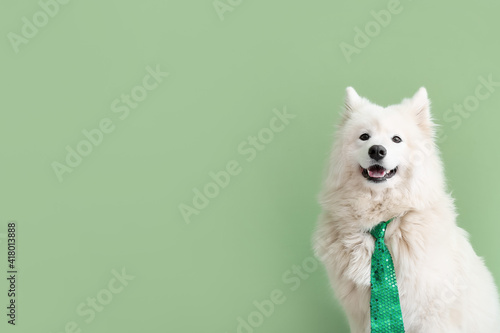 Photography Cute dog with green necktie on color background