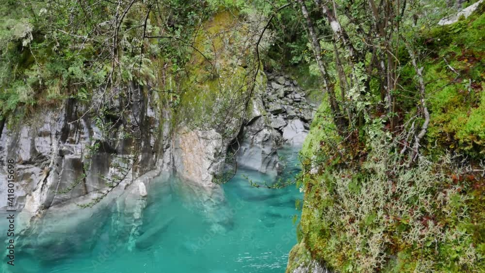 Mossy trees cling to vertical limestone cliff over crystal clear river Mossy trees cling to vertical limestone cliff over crystal clear river