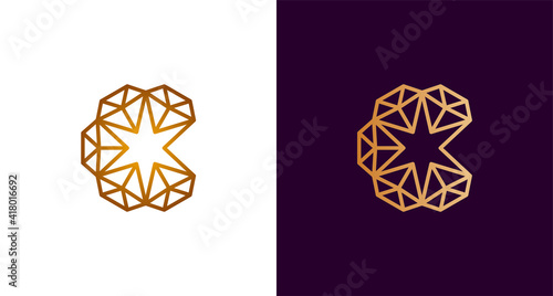 Abstract elegant circular letter C diamond logo