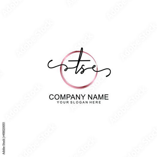 Letter TS Beautiful handwriting logo