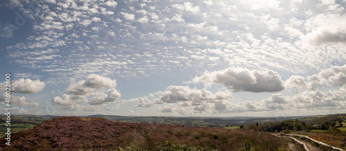 Panoramic landscape 