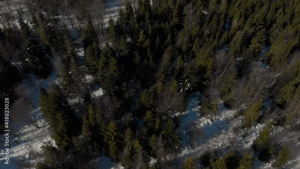 Drone flying over the forest on a winter frosty day overlooking the blue sky Drone flying over the forest on a winter frosty day overlooking the blue sky