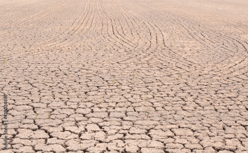 Drought and cracked land on the agriculture farm Drought and cracked land on the agriculture farm