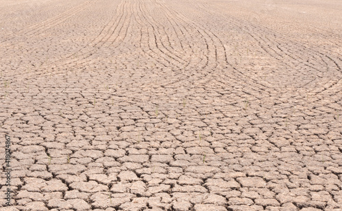 Drought and cracked land on the agriculture farm