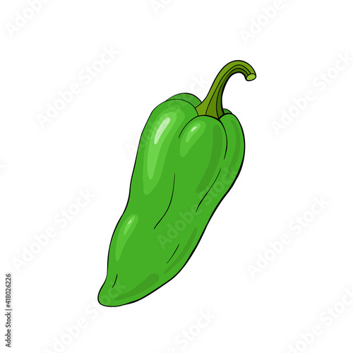 Green hot chili pepper, jalapeno.  Vector outline illustration.