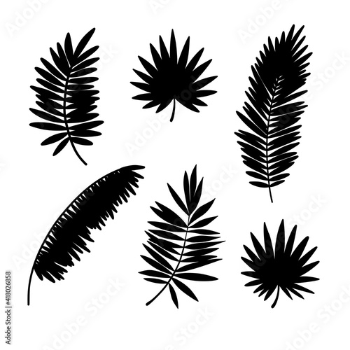 Palm leaves set. Black silhouette. Tropical forest element. Vector illustration.