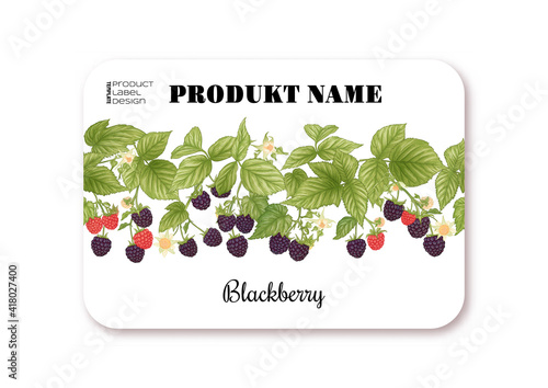 Blackberry. Ripe berries on branch. Template for product label, cosmetic packaging. Easy to edit. Graphic drawing, engraving style. Vector illustration..