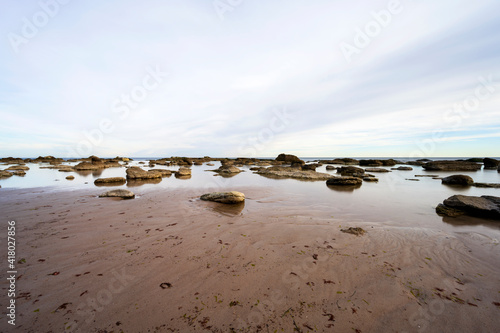 Fototapeta Naklejka Na Ścianę i Meble -  sandy coastal landscape at island of Gotland in Sweden