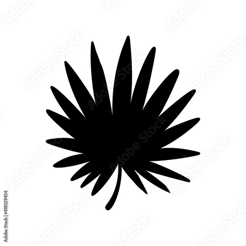 Palm leaf. Black silhouette. Tropical forest element. Vector illustration.