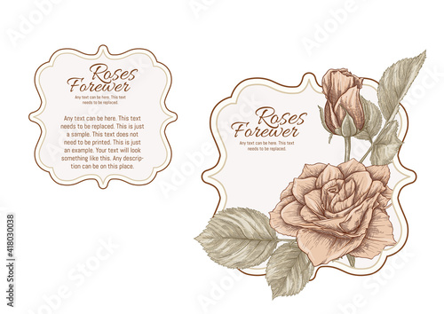 Set of face and back labels, stickers for food products or cosmetics in engraving, vintage, old, retro shabby chic style.. Stock vector illustration.