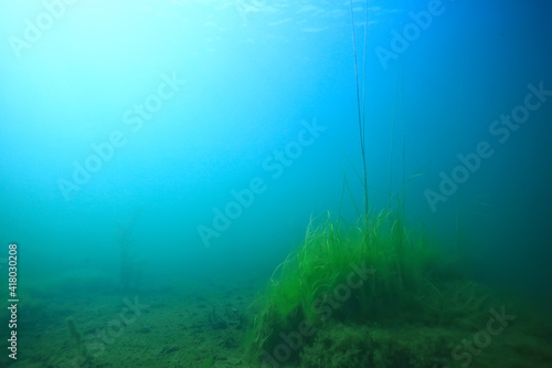 lake background water underwater abstract / fresh water diving background nature underwater ecosystem background © kichigin19