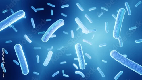 Floating lactobacillus bacteria, beneficial microorganisms, part of the human microbiome, probiotics photo