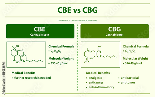 CBE vs CBG, Cannabielsoin vs Cannabigerol horizontal infographic illustration about cannabis as herbal alternative medicine and chemical therapy, healthcare and medical vector.