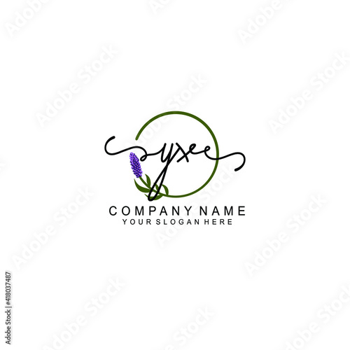 Letter YX Beautiful handwriting logo photo