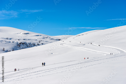 Skiers and hikers on the cross-country ski track and on the snowy footpath, in winter on the Lessinia Plateau, Regional Natural Park, near Malga San Giorgio, ski resort, Verona, Veneto, Italy, Europe.