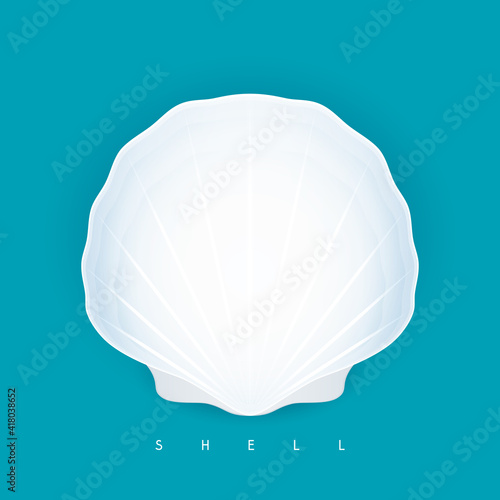White seashell isolated on blue background, travel and tourism concept, vector illustration
