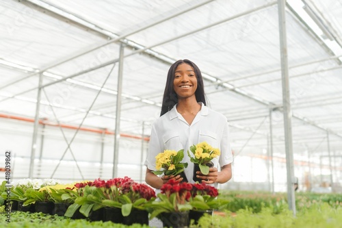 Beautiful young smiling african american girl, worker with flowers in greenhouse. Concept work in the greenhouse, flowers.