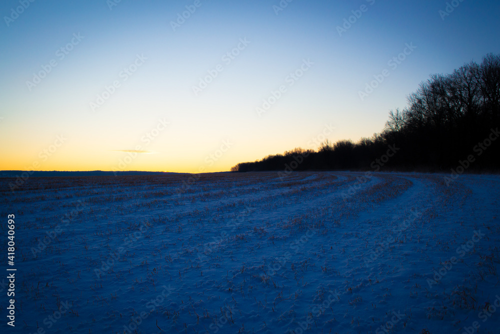 Dawn snowy field in winter.