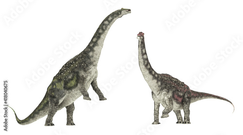 Dinosaurier Diamantinasaurus  Freisteller