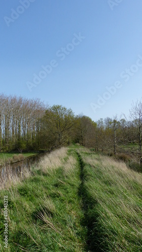 path in the field