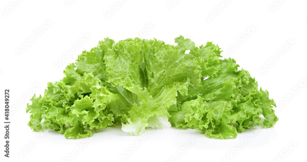 lettuce salad leaves on white background - obrazy, fototapety, plakaty 