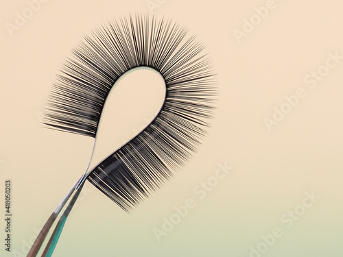 strip for eyelash extensions on a uniform tone, twisted, held with tweezers. Industry artificial eyelashes, eyelash extensions, beauty
