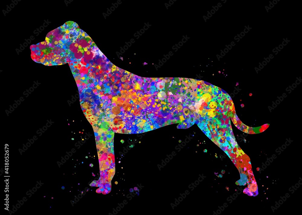 Dogo argentino Dog watercolor, black background, abstract painting. Watercolor illustration rainbow, colorful, decoration wall art.